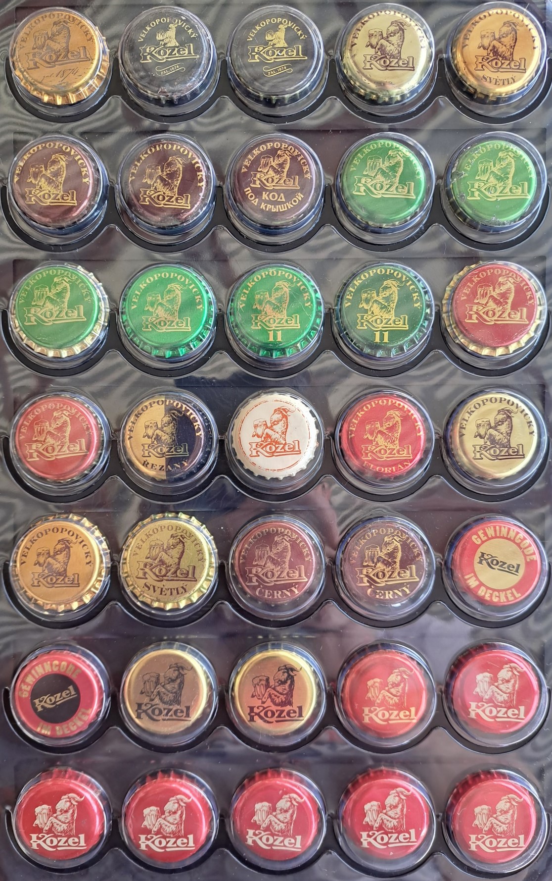 02. PIVO FOTO